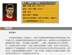 如何对专题页面进行优化