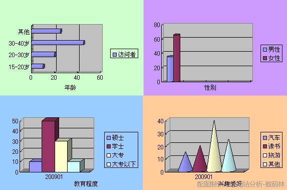 网站分析工具深度讲解之访问者人口学
