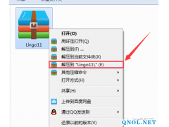 Lingo 11软件安装教程