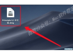 Principle 5.1安装教程