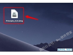 Principle 5.9安装步骤